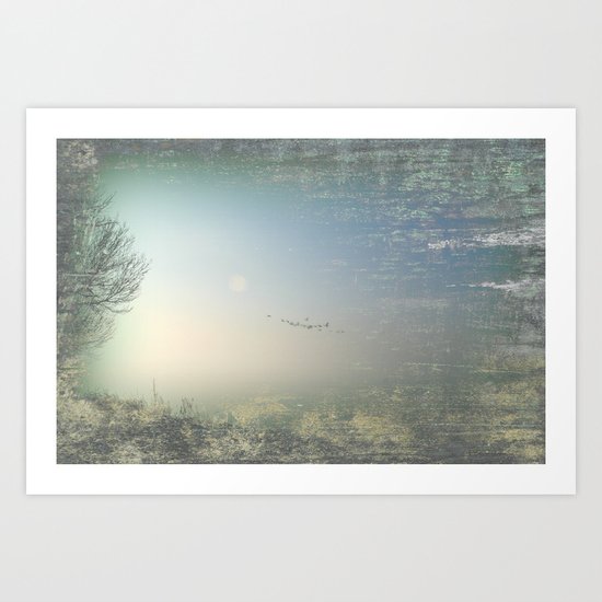 Birds Art Print