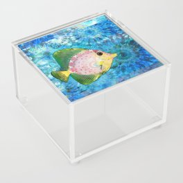 Tangy - Colorful Tropical Reef Fish Art Acrylic Box