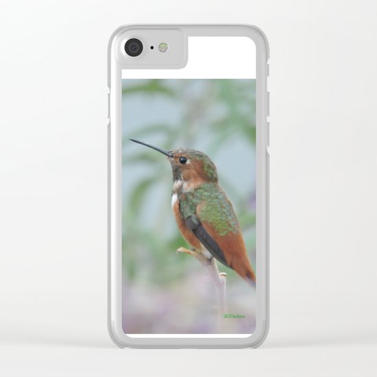 Allen's Hummingbird Sentinel Clear iPhone Case