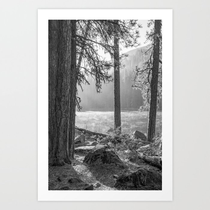 PNW Forest | Black and White Photography | Alpine Lake Art Print
