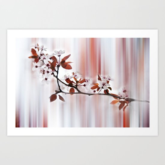 cherry blossom Art Print
