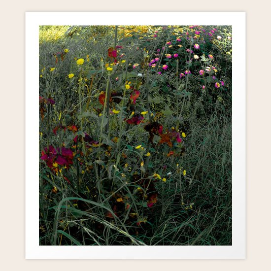 Wild Things Art Print