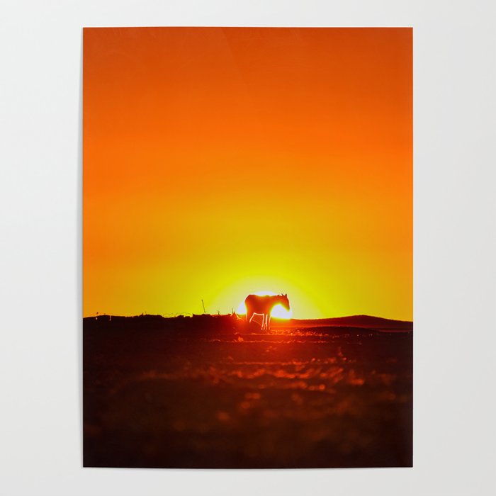 Sunset behind a horse Poster