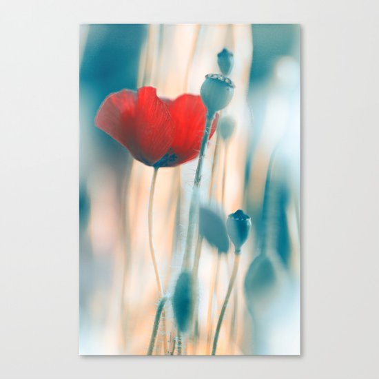 Poppies(radiance). Canvas Print