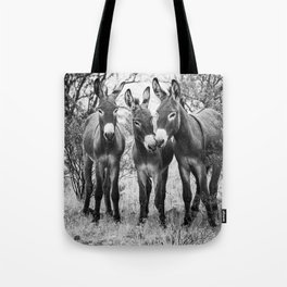 Three Wild Donkeys in the Desert Tote Bag