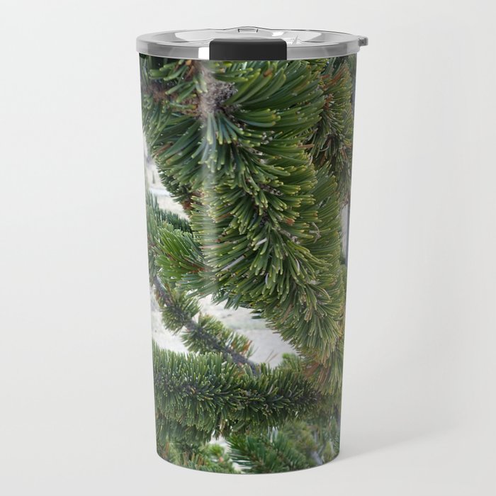 Bristlecone pine needles Travel Mug