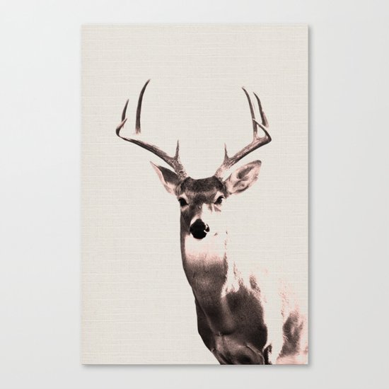 Deer Art 1 Canvas Print