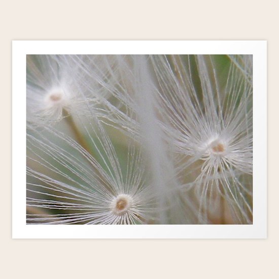 Wisp Art Print