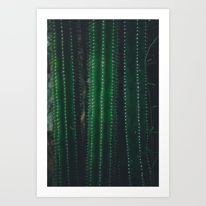 Cacticactugave Art Print