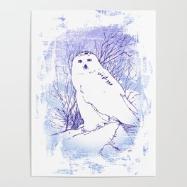 Owl Color Poster