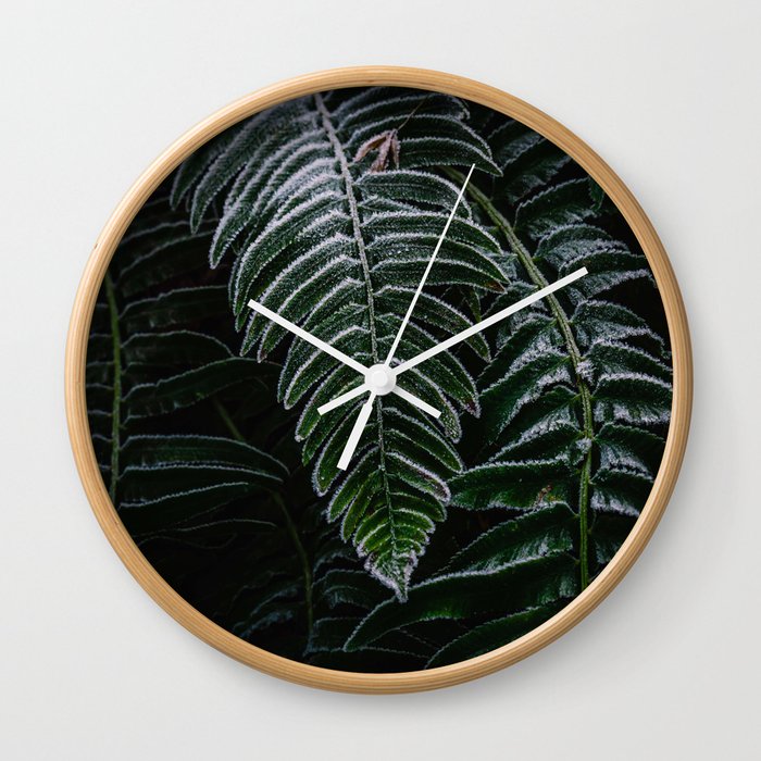 Deep green fern frond Wall Clock