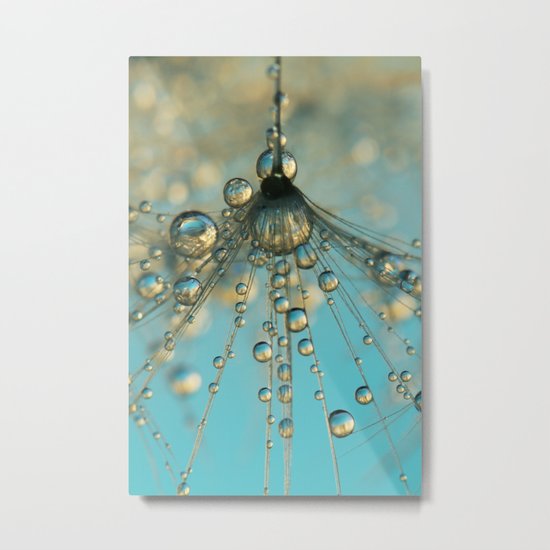 Dandy Shower Metal Print