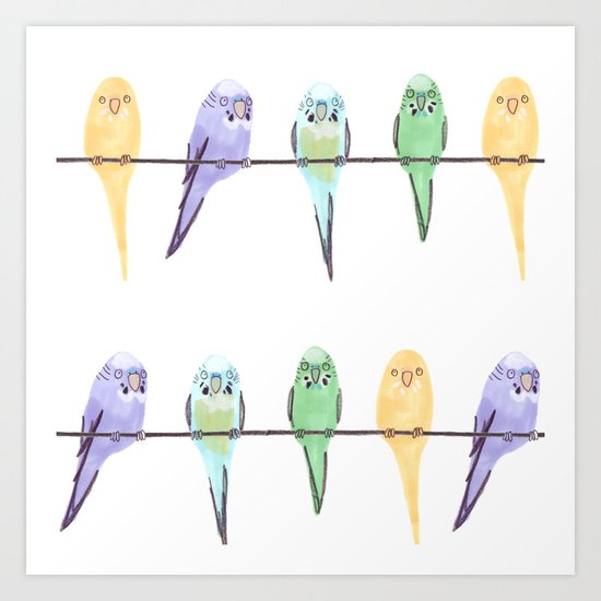 Budgies Art Print