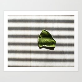 Leaf on the Floor Art Print