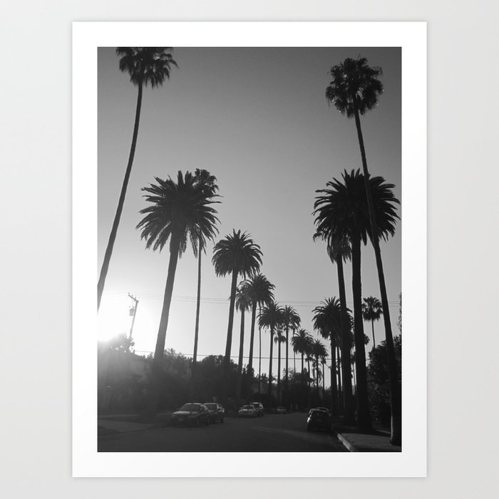 Beverly Hills Palm Trees, Fine Art Photography Art Print