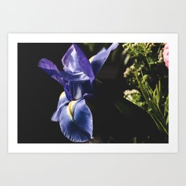 Purple flower Art Print