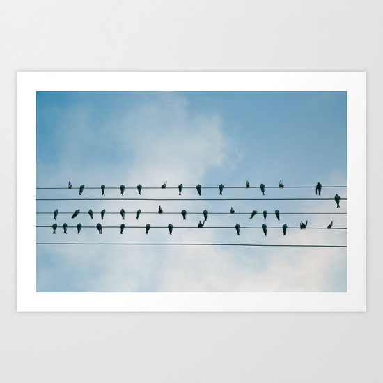 Birds on a wire Art Print