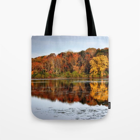 Rock Cut State Park Tote Bag