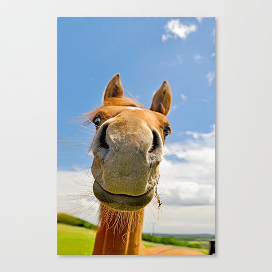 Keep smiling Canvas Print
