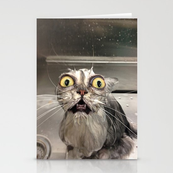 Reddit Wet Cat Stationery Cards By Poodlemonkey Society6