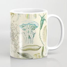 Seashell and Underwater Vintage Illustration Drawing by Adolphe Millot of Sea Life Creatures Shells Coffee Mug