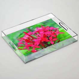 Red flowers Acrylic Tray