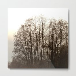 nature Metal Print | Color, Nature, Trees, Photo, Sepia, Forrest, Brown, Landscape, Sun, Digital 