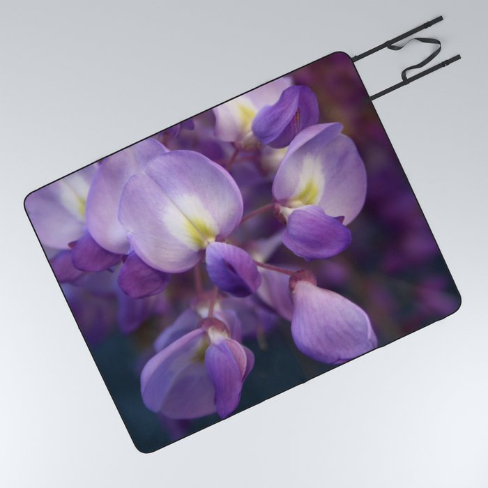 Single Stem Of Wisteria Vine Flower Close Up Photography Picnic Blanket