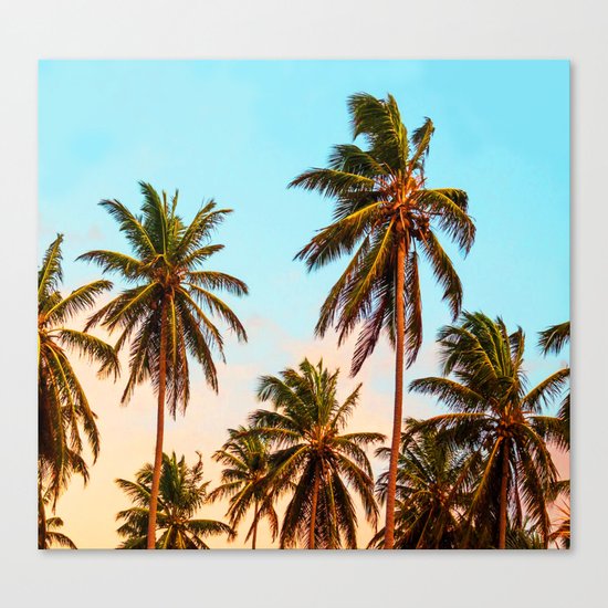 Palms trees. Canvas Print