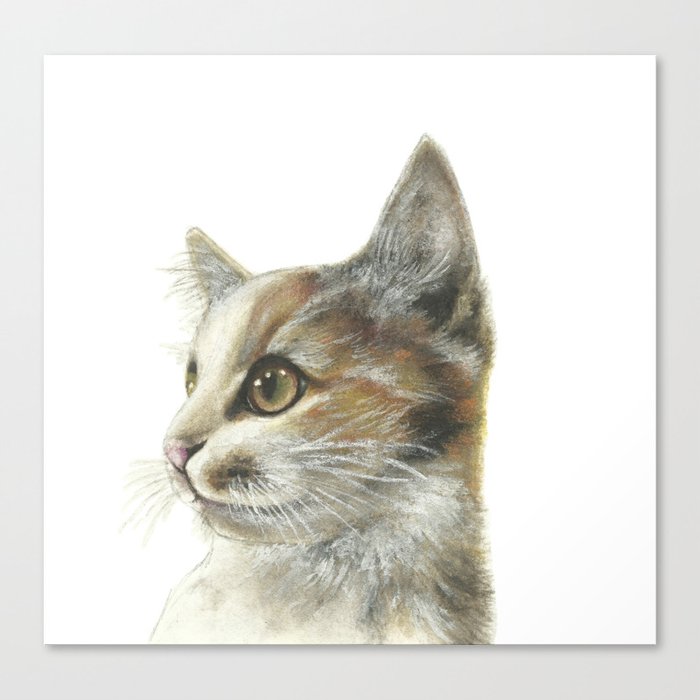 Curious Cat Canvas Print