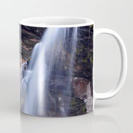 Dry Falls Coffee Mug