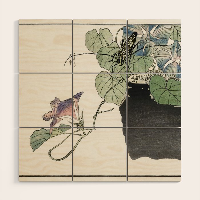 Japanese paper cutter beetle illustration from Churui Gafu (1910) by