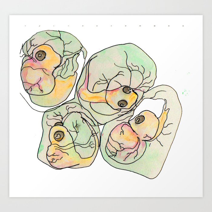 Frog eggs Art Print