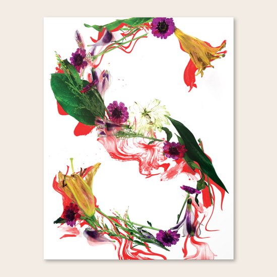The Letter S Canvas Print