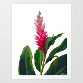 Ginger Flower Art Prints for Any Decor Style | Society6