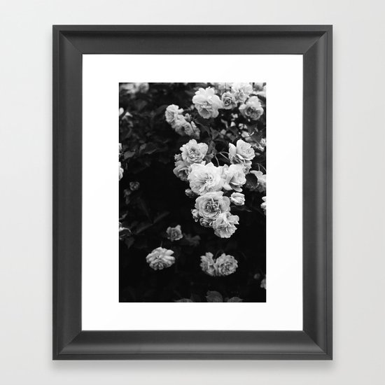 Tumbling Roses Framed Art Print