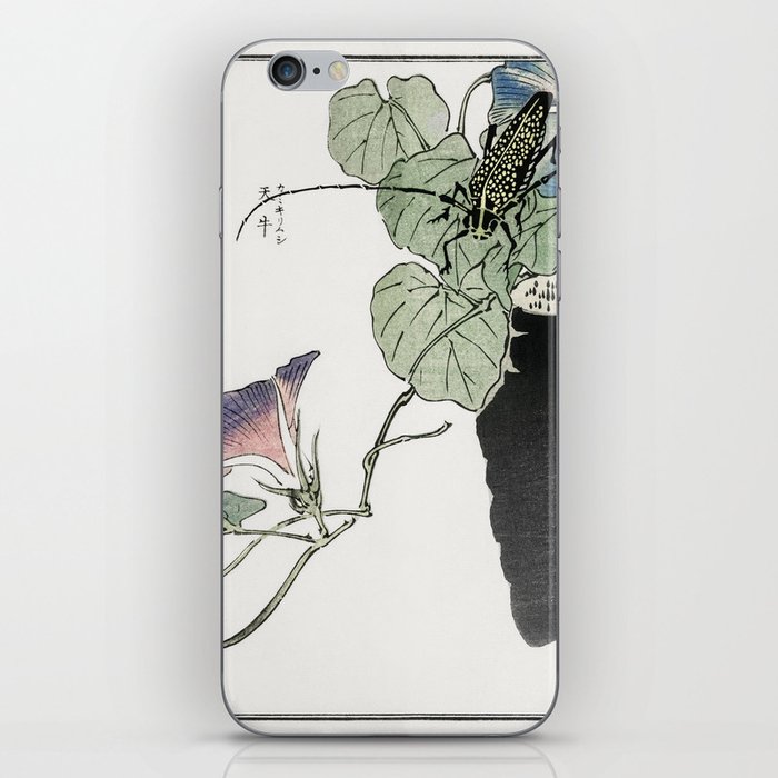 Japanese paper cutter beetle illustration from Churui Gafu (1910) by