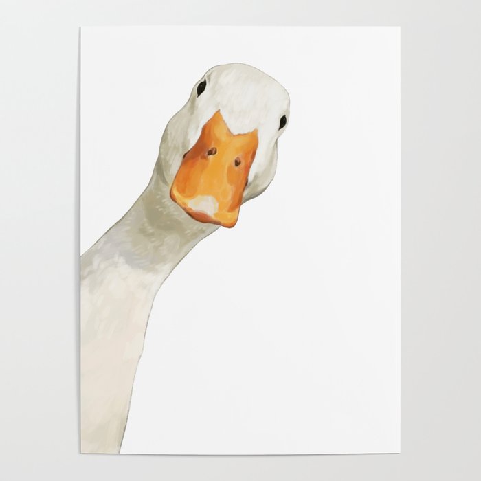 Sneaky White Duck Poster