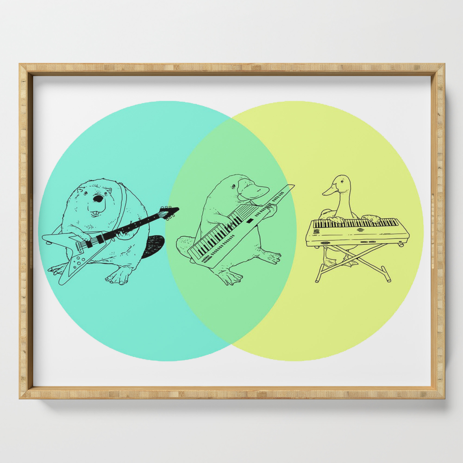 Platypus keytar venn diagram