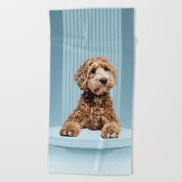 Goldendoodle Laying on Minimal Pastel Blue Podium Beach Towel