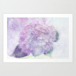 Watercolor Hydrangea Art Print