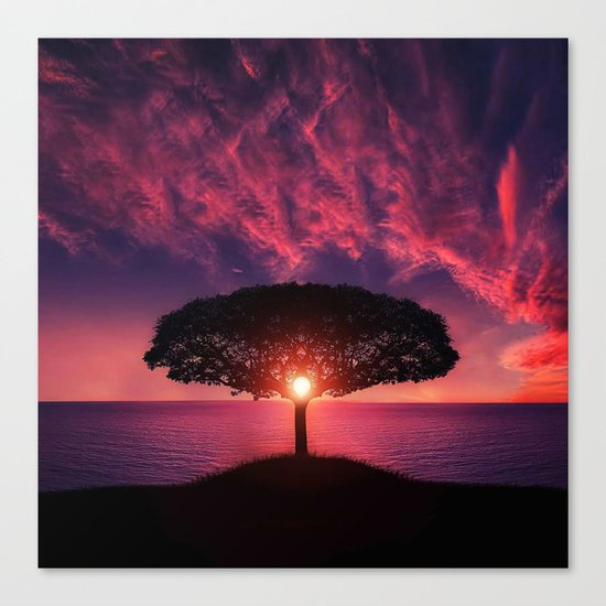 Lonely tree Canvas Print
