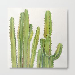 Cactus 2 Metal Print