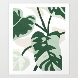 Philodendron leaf illustration Art Print