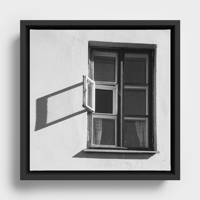 BLACK AND WHITE 5 Framed Canvas
