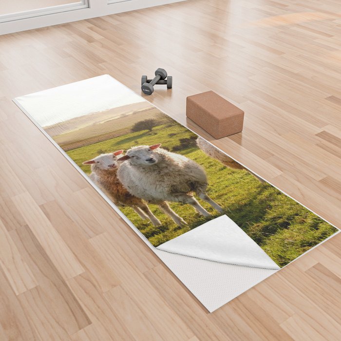 Four Sheep Standing Line Looking Camera 26 Yoga Towel