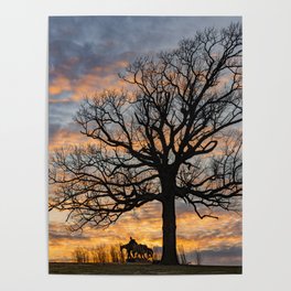 Winter Tree Sunset Silhouette and Pioneer Womens Monument - Kansas City Poster