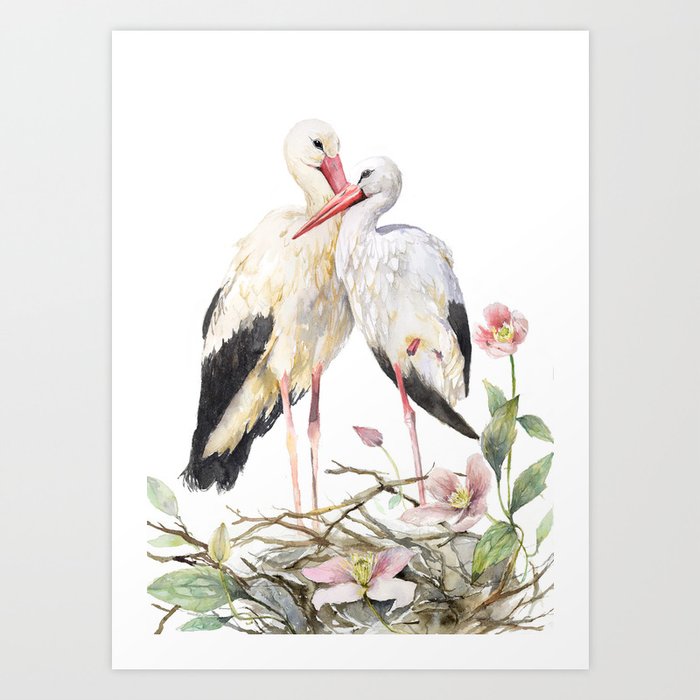 Two Storks Watercolor Painting Wildlife Art Clematis Plant Wild