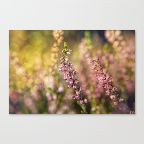 Erica in LOVE II Canvas Print