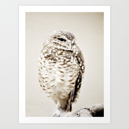 Solitary Art Print